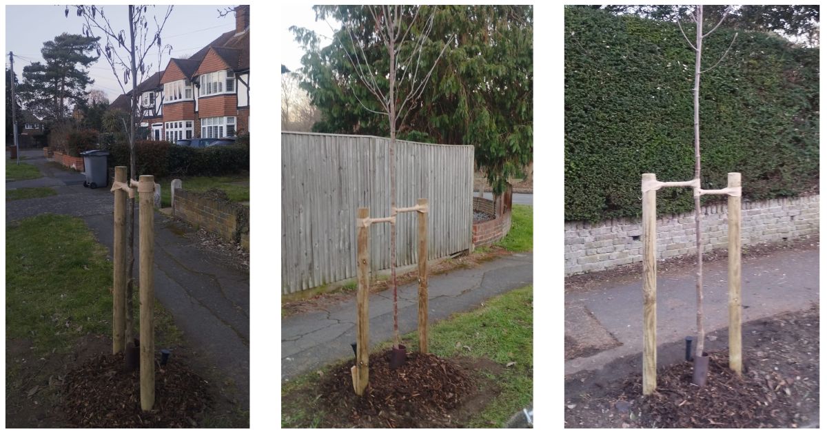 Collaboration with Surrey County Council and Epsom and Ewell Borough