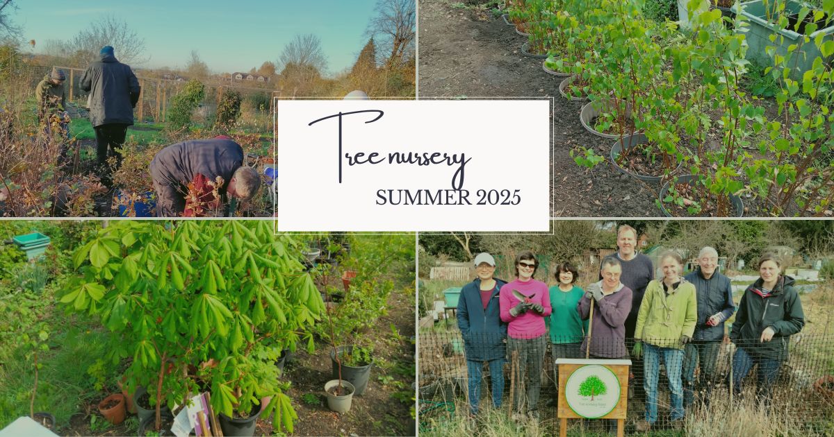 a group of people at the tree nursery