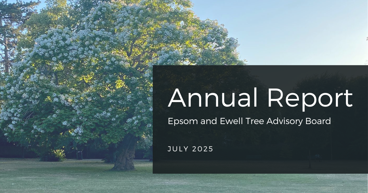 Tree in park