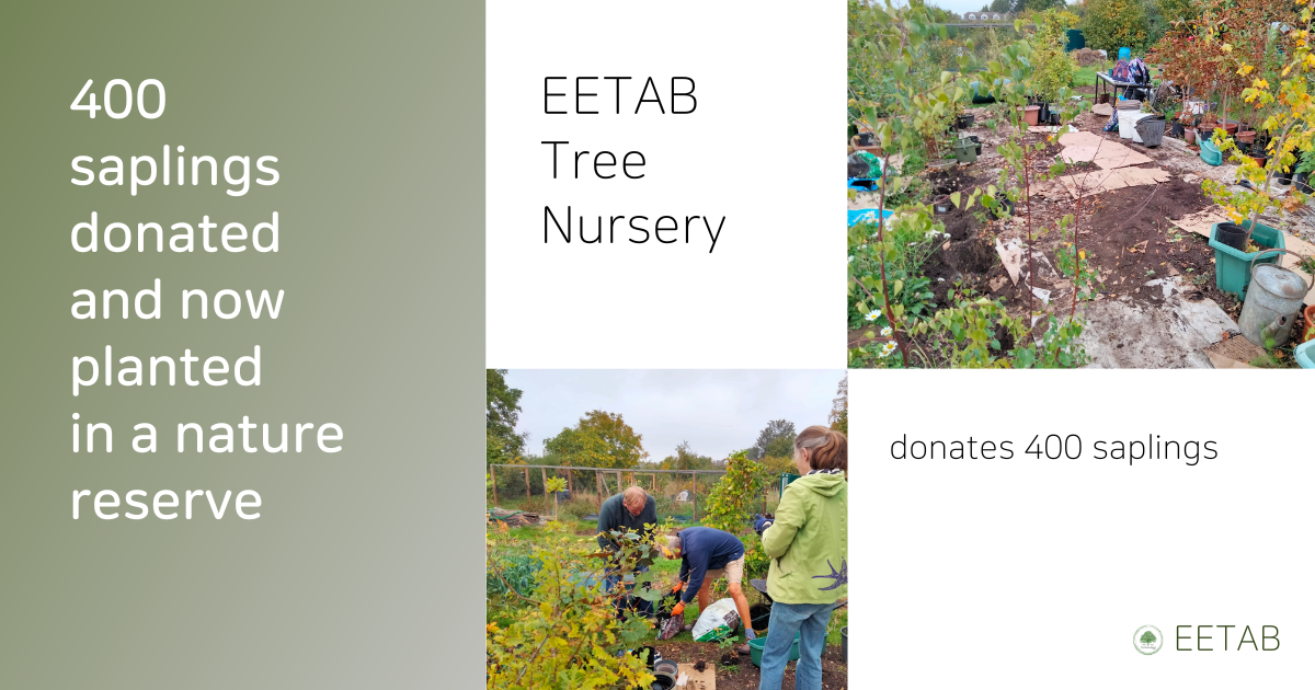 tree nursery with people working